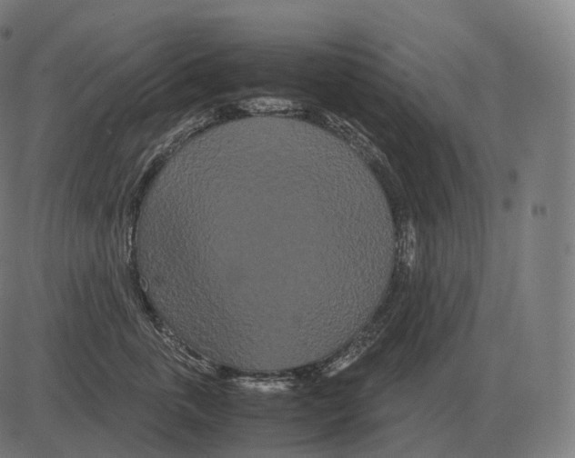 X0000081490763200702100030