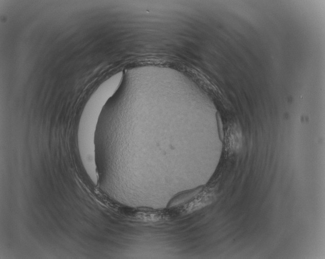 X0000081490764200702100030