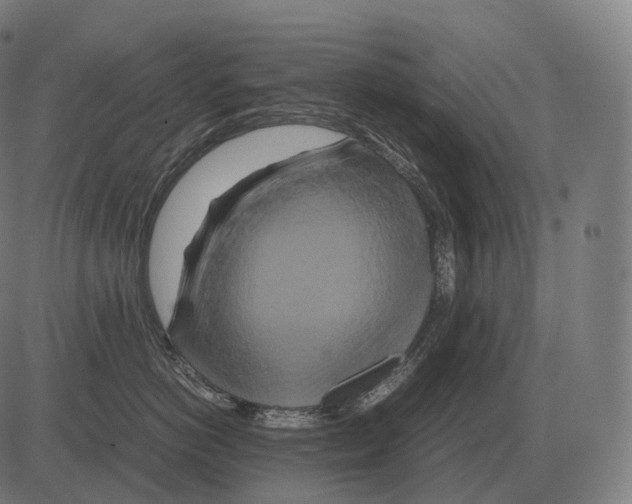 X0000081490766200702100030