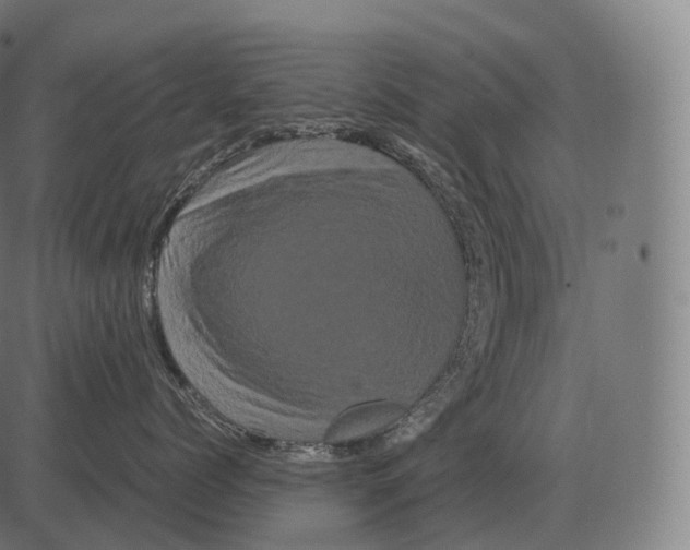 X0000081490768200702100030