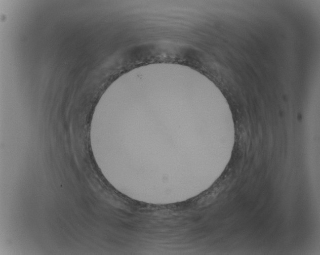 X0000081490769200702100029