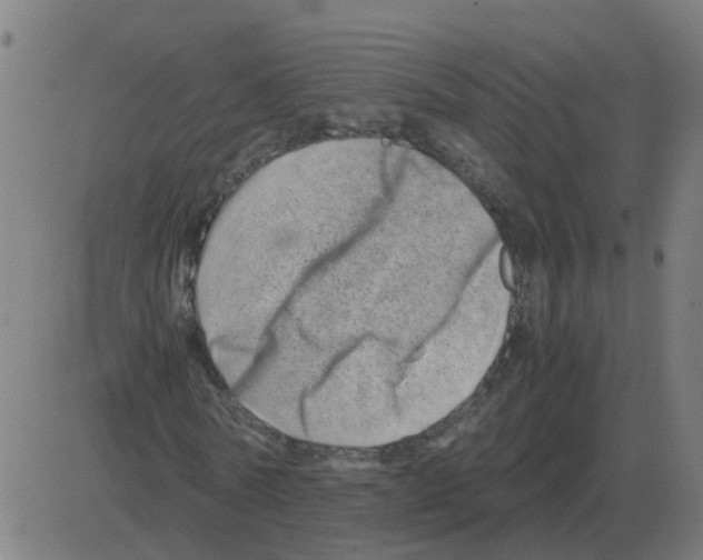 X0000081490770200702100029