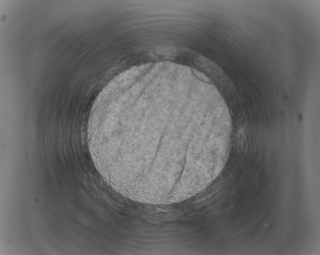 X0000081490772200702100029