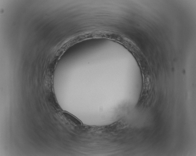 X0000081490773200702100029