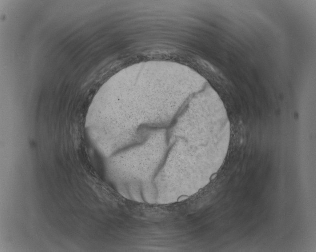 X0000081490774200702100029