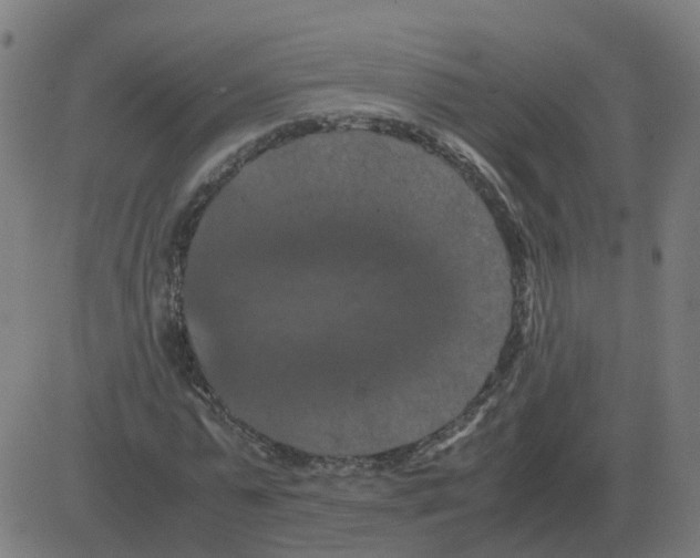 X0000081490775200702100029