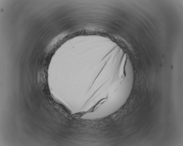 X0000081490776200702100029