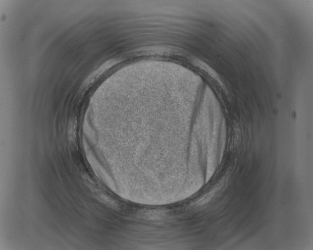 X0000081490778200702100029