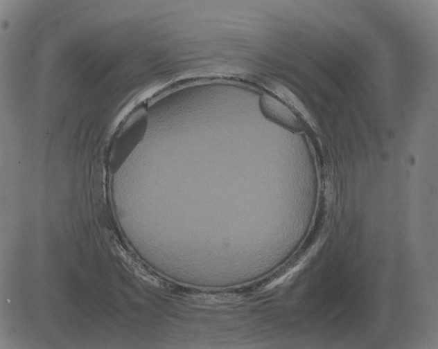 X0000081490781200702100029