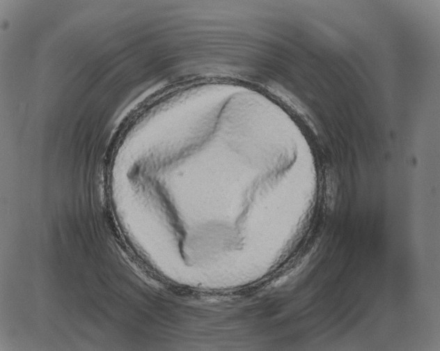 X0000081490782200702100029