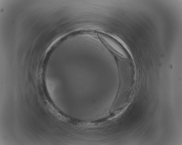 X0000081490783200702100029