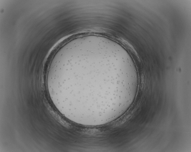 X0000081490784200702100029