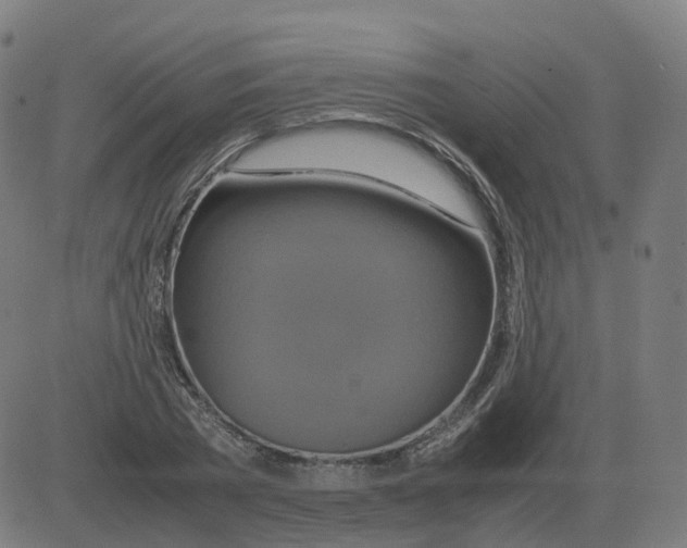 X0000081490785200702100029