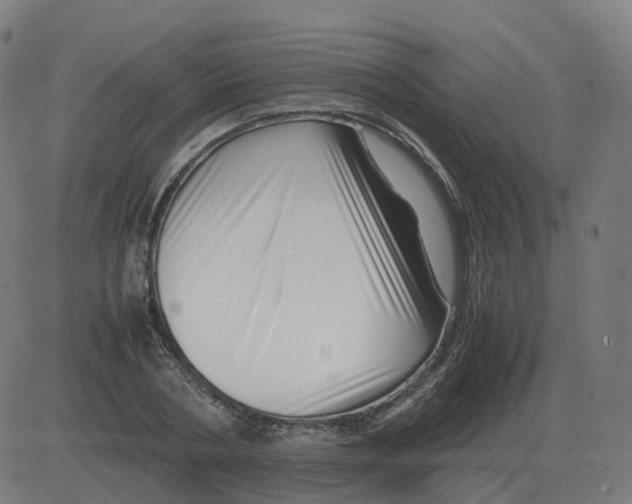 X0000081490786200702100029