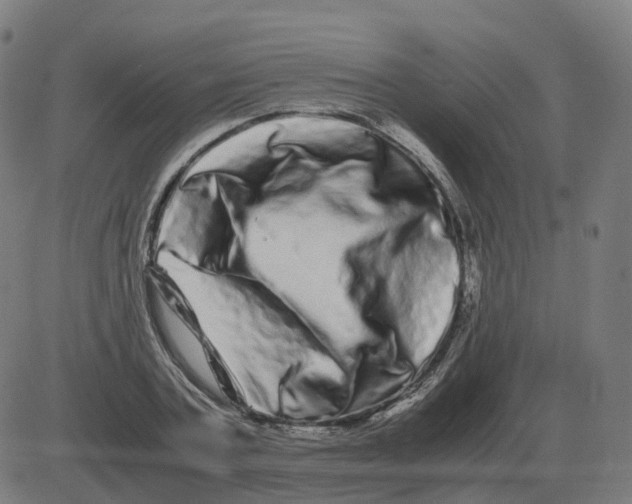 X0000081490787200702100029