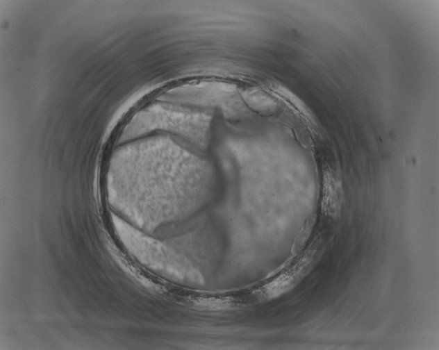 X0000081490788200702100029