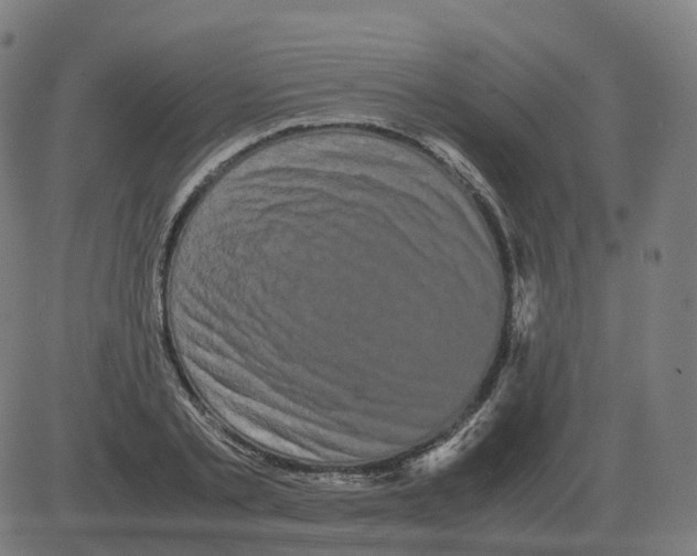 X0000081490789200702100029