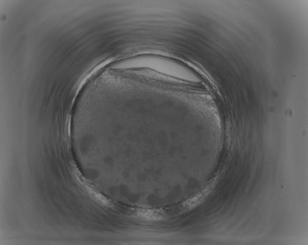 X0000081490790200702100029