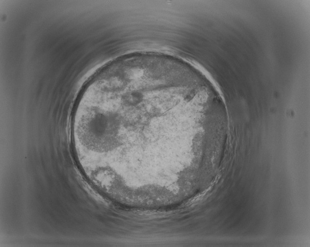 X0000081490791200702100029