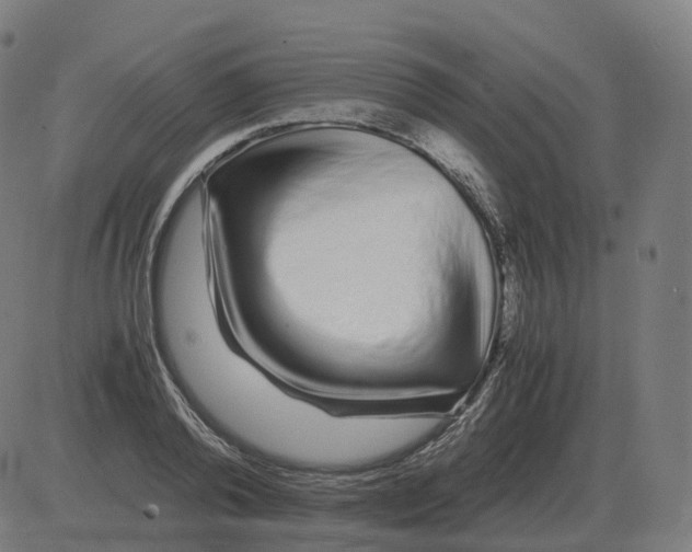 X0000081490792200702100029