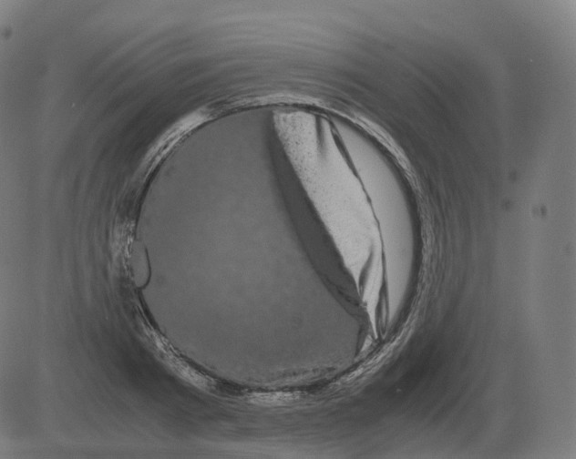 X0000081490793200702100029