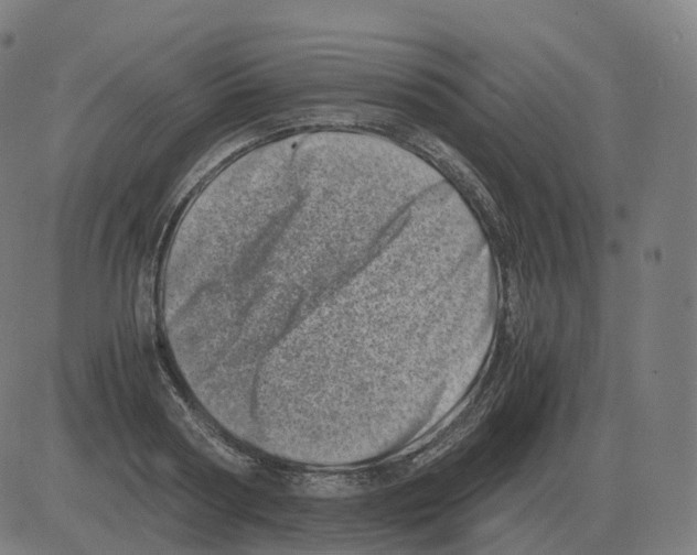 X0000081490794200702100029