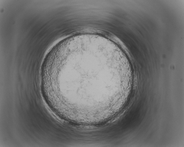 X0000081490795200702100029