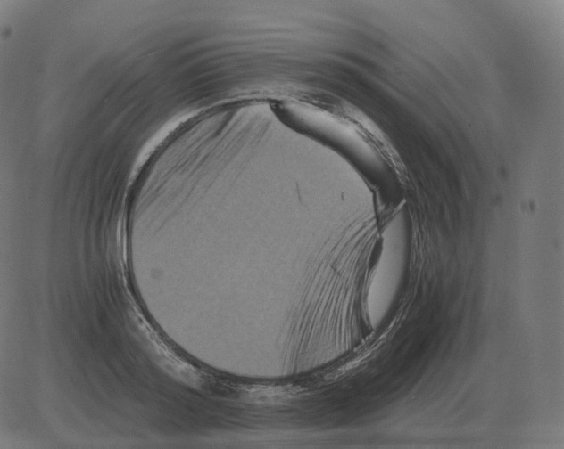 X0000081490796200702100029