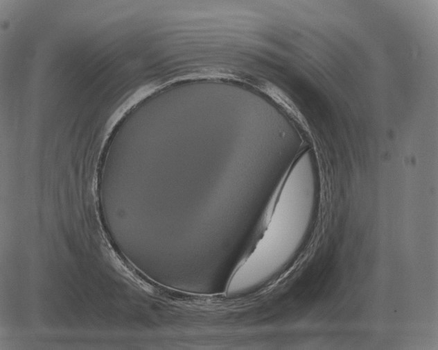 X0000081490797200702100029