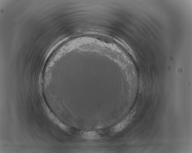 X0000081490798200702100029