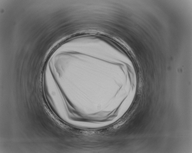 X0000081490799200702100029