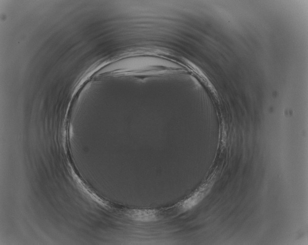 X0000081490802200702100028