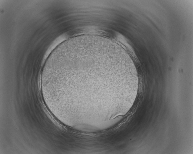 X0000081490804200702100028