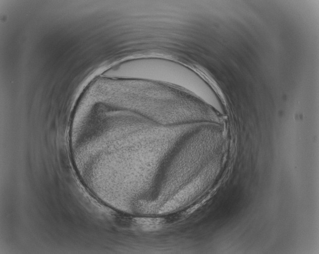 X0000081490805200702100028