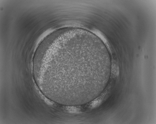 X0000081490807200702100028