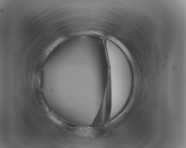 X0000081490809200702100028