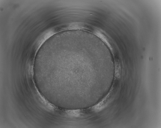 X0000081490810200702100028