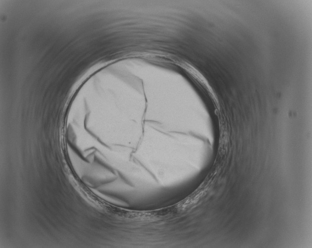 X0000081490811200702100028