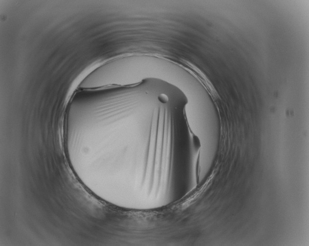 X0000081490812200702100028