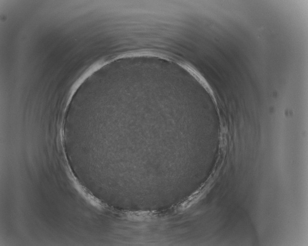 X0000081490813200702100028