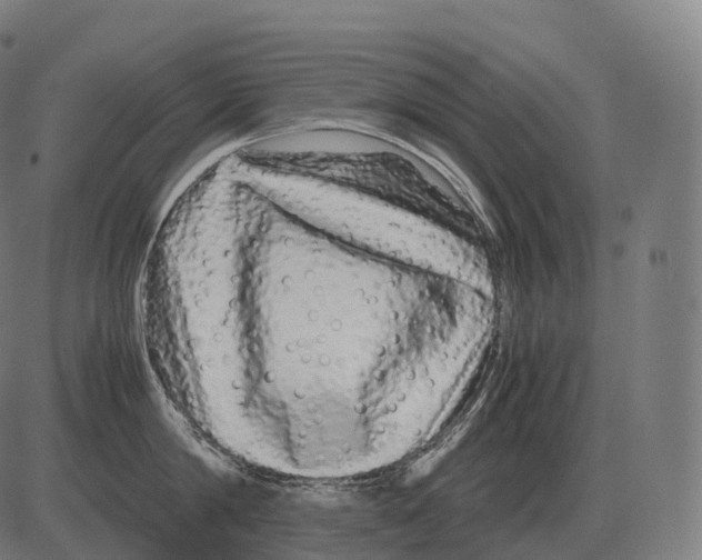 X0000081490814200702100028