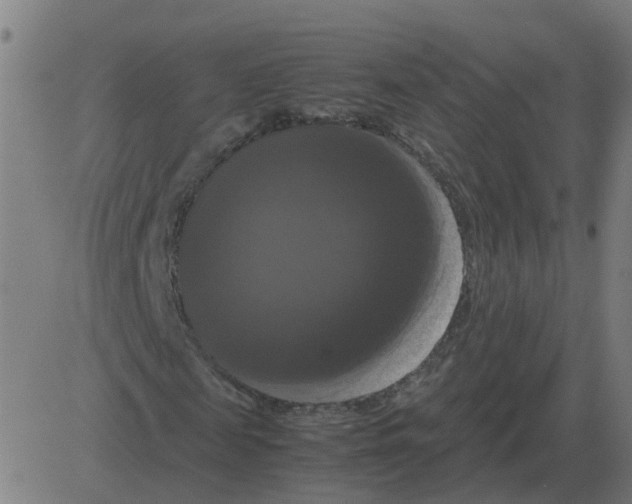 X0000081490817200702100027