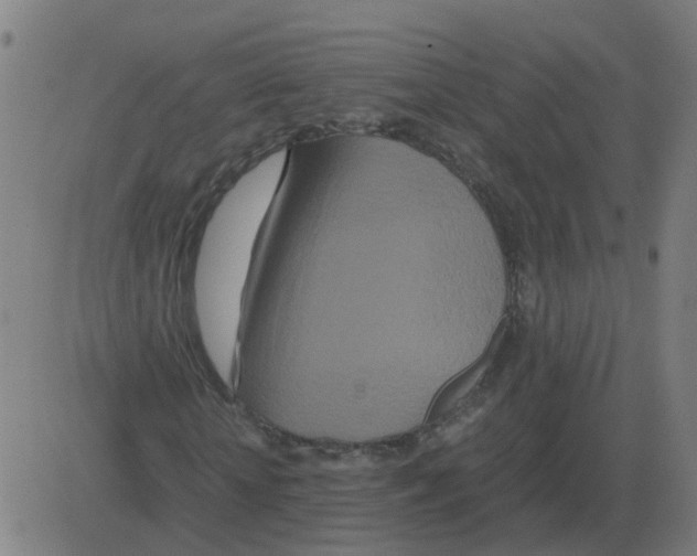 X0000081490818200702100028