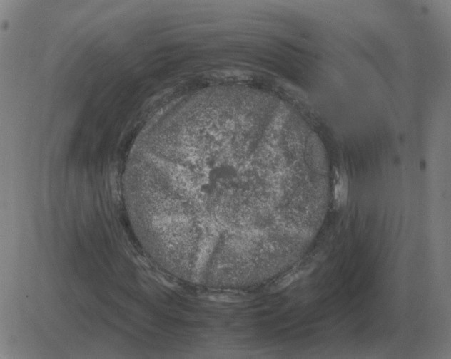 X0000081490819200702100028