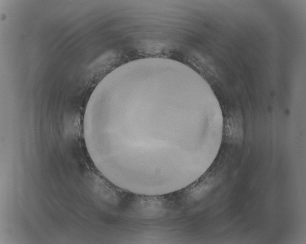 X0000081490820200702100028