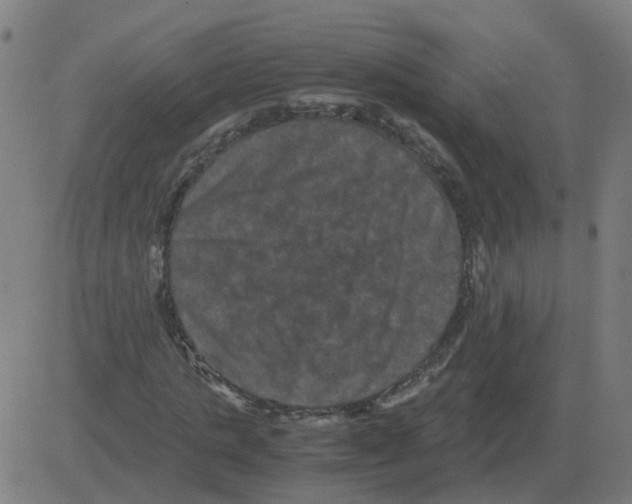 X0000081490821200702100028