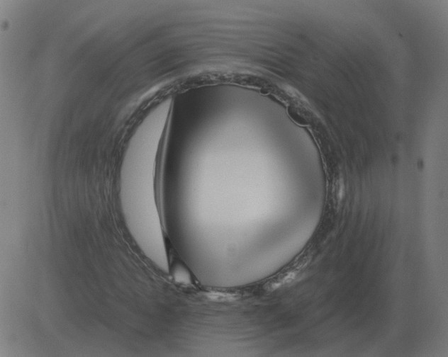 X0000081490822200702100028