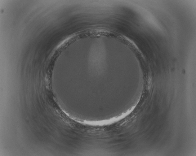 X0000081490823200702100028