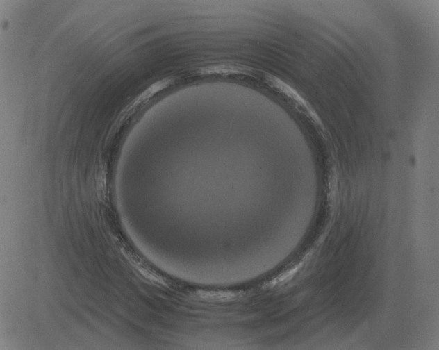 X0000081490825200702100028