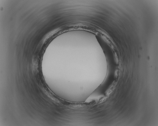 X0000081490826200702100028